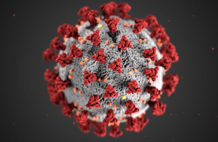 Here is the top coronavirus news for today