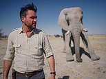 Stealing meat from hungry lions? That’s real bravado! Christopher Stevens reviews the weekend’s TV