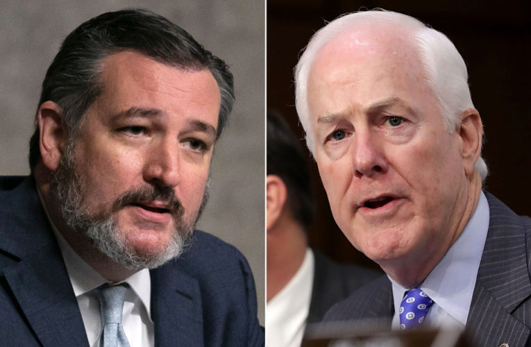 GOP Sens. Cornyn and Cruz say they don’t understand why federal funds are being pulled from coronavirus testing sites