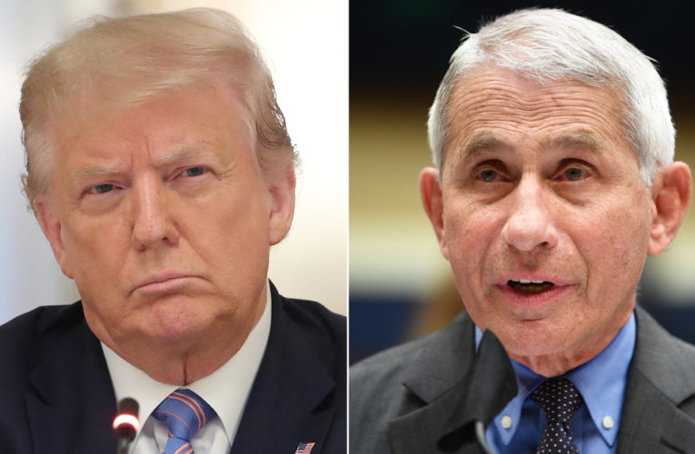 Fauci’s ‘good press’ a source of irritation for Trump