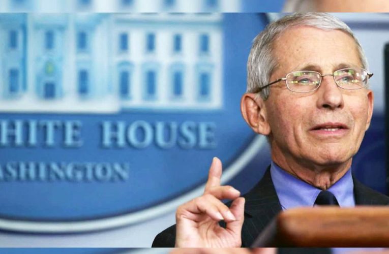 What Dr. Fauci had to say about Navarro op-ed