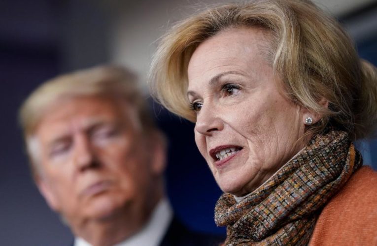 Birx warns of concerning rise in coronavirus cases in 12 cities as Trump paints a rosy picture