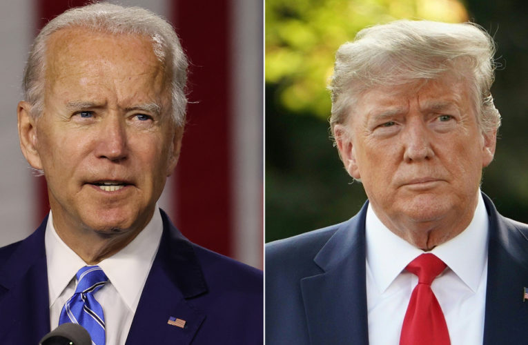 Why Biden is polling better than Clinton against Trump