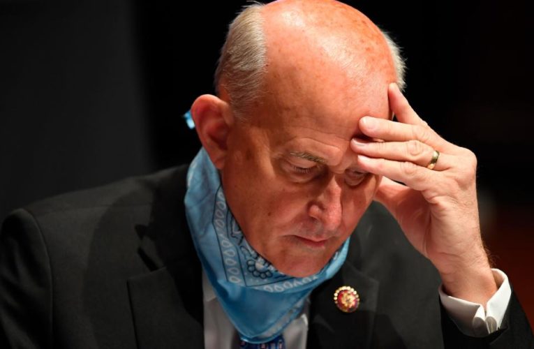 Analysis: How Louie Gohmert proved the opposite of his point