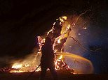 Sacred ancient ‘solstice’ tree visited by thousands of Druids every year destroyed in ‘arson attack’