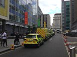 Gas-spraying attacker leaves 14 Selfridges staff and shoppers needing treatment