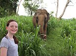 A family trip of a lifetime in Thailand taking in Bangkok and Chiang Rai, plus two Anantara hotels