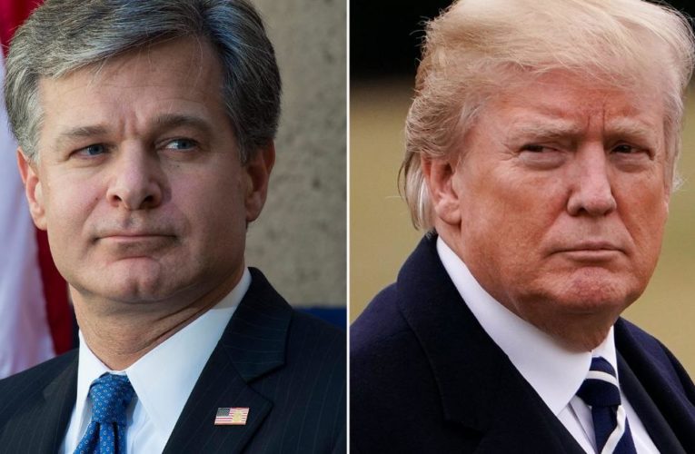 Trump goes after his own FBI director