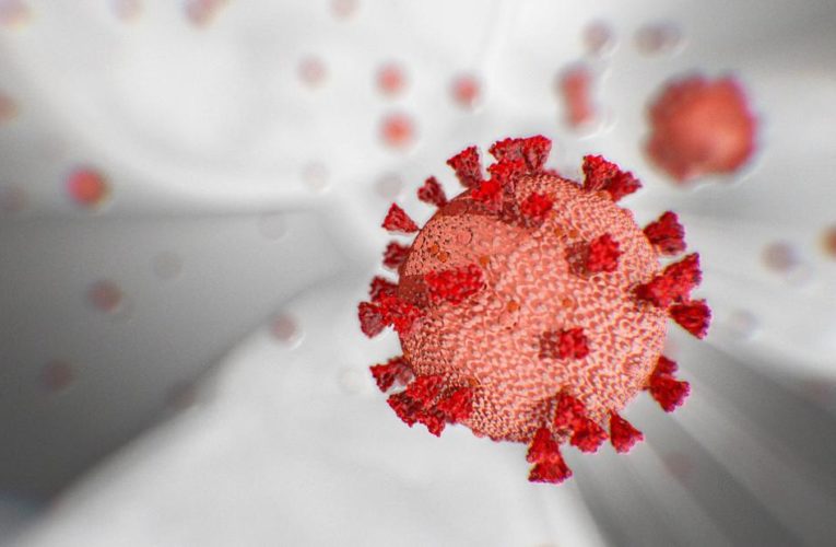 Are you immune from Covid-19 for up to 3 months? It’s not clear