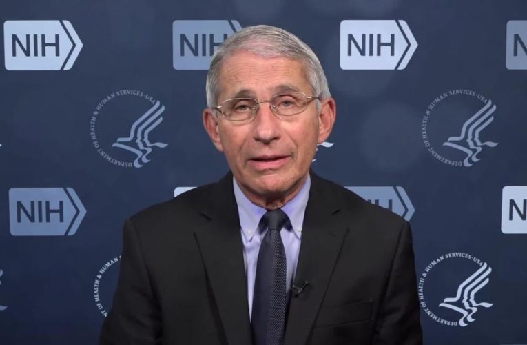 Fauci: US can get coronavirus levels ‘way down’ by Election Day