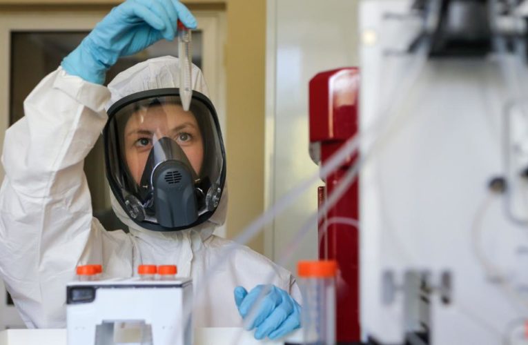 ‘There’s no way in hell the US tries this (Russian vaccine) on monkeys, let alone people,’ a public health official says