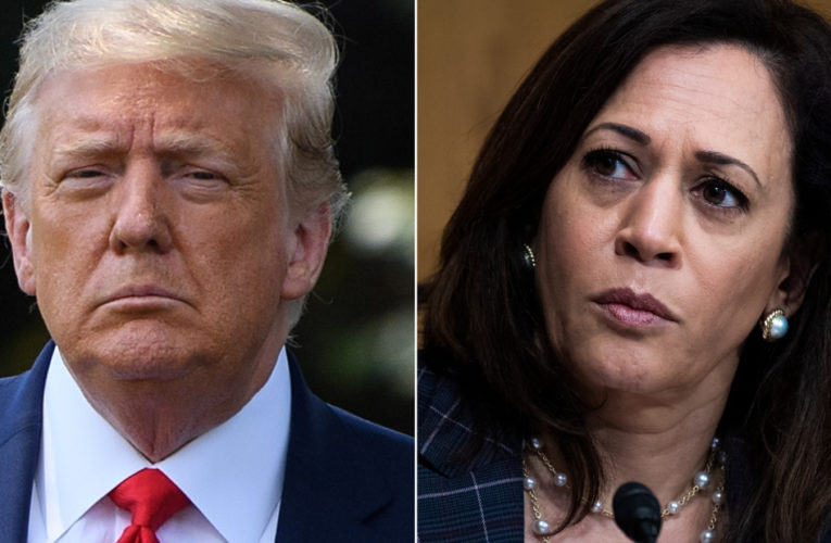 The President’s decision to elevate a conspiracy theory about Kamala Harris’ background magnifies the racist themes of his campaign