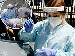 California becomes first state to pass 500,000 coronavirus cases
