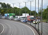 Teenage boy runs into M5 traffic and is hit by ‘multiple vehicles’