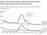 Coronavirus deaths fall to ANOTHER low: Flu and pneumonia is now killing six times more people