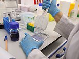 Coronavirus: Nations should work together on vaccine, says WHO