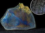Rainbow colored meteorite found in Costa Rica may hold building blocks of life like proteins