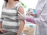 Flu vaccine during pregnancy has NO link to a baby’s risk of developing autism, study confirms