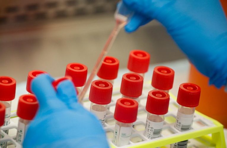 Trump nursing home plan limits supply of free COVID-19 tests