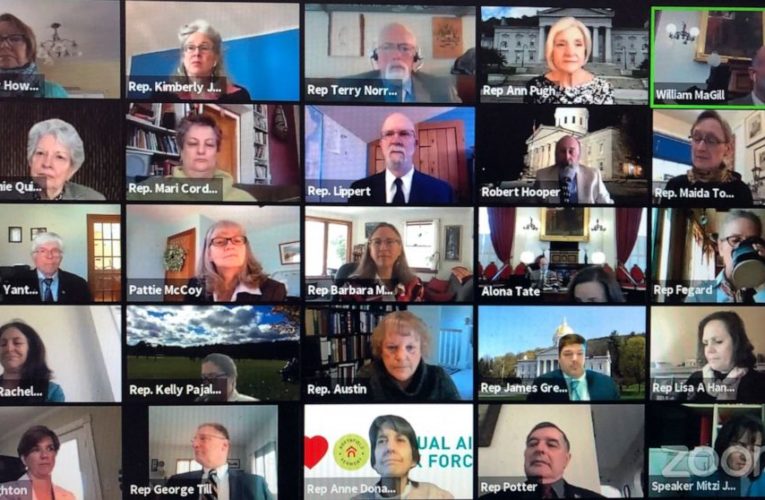 Zoom glitches, briefly grinding US schools to a halt