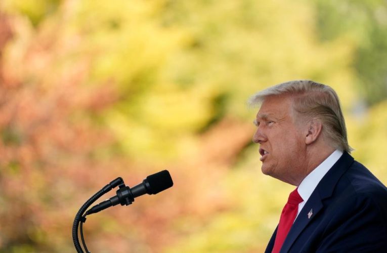 Fact check: Trump repeats numerous false claims in campaign-style press briefing from White House