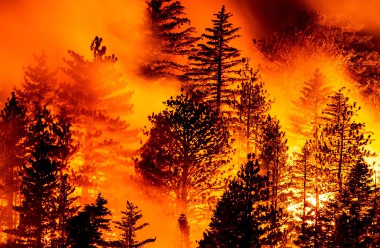 In photos: Wildfires burning in the West
