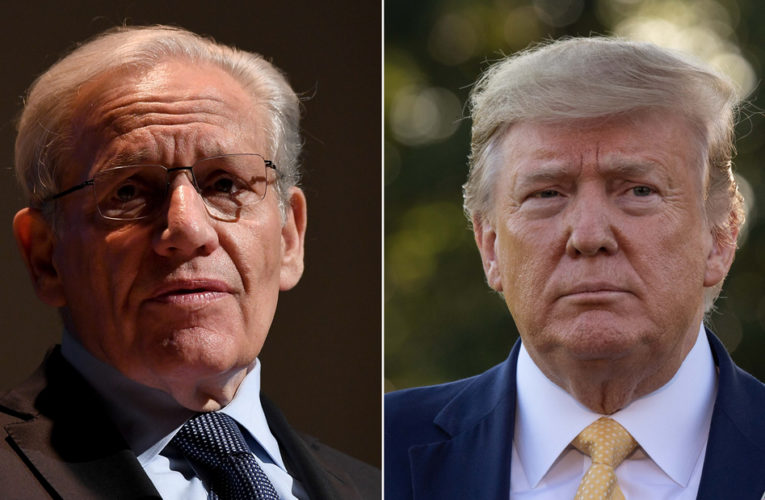 Trump-Woodward audio on federal judge appointments