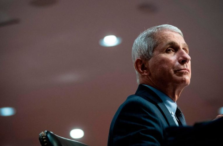Fauci says anyone with underlying conditions are at risk after Trump falsely claims the virus ‘affects nobody young’