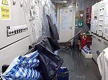 Panicking crew battled to save stricken live export ship as stormy China sea poured into the vessel
