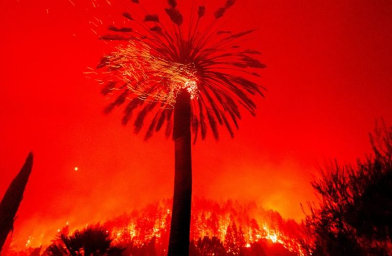 New California fire scorches wine country near San Francisco