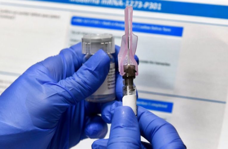 Companies testing vaccines pledge safety, high standards