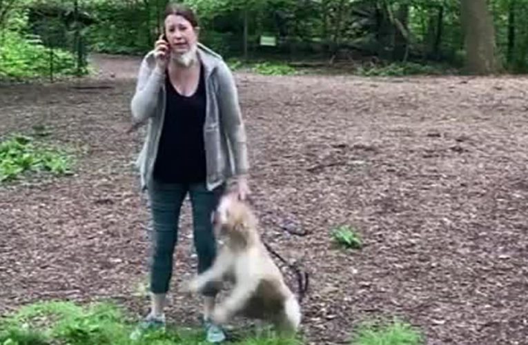 Amy Cooper made second 911 call about Black birdwatcher in Central Park, prosecutors say
