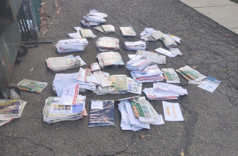 Mail carrier charged with dumping ballots