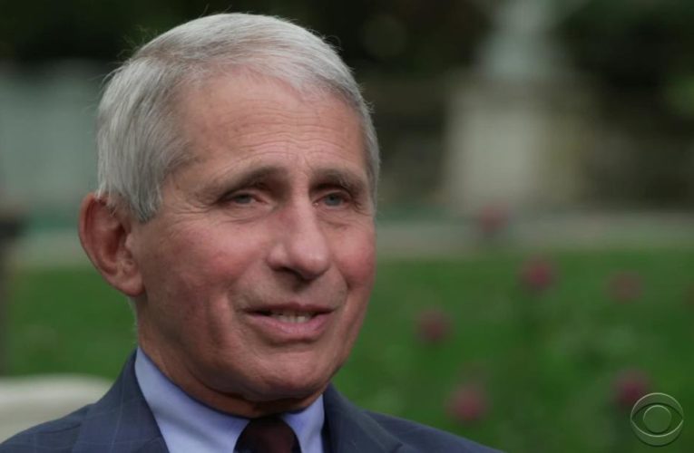 Fauci: Covid-19 has to be ‘really, really bad’ for US lockdown