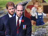 Prince Harry and Prince William’s feud began long before Meghan came on the scene, new book reveals