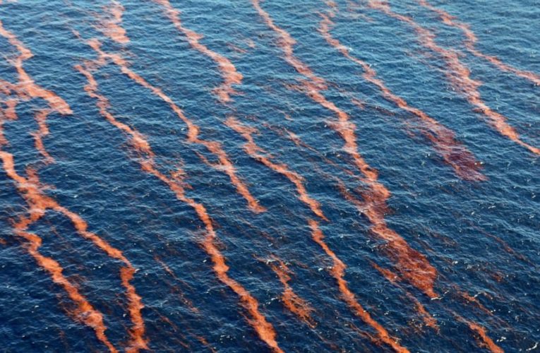 Suit: Feds ignore risk of huge spills to endangered species