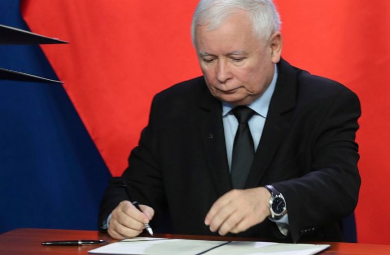 New Polish education minister tests positive for coronavirus