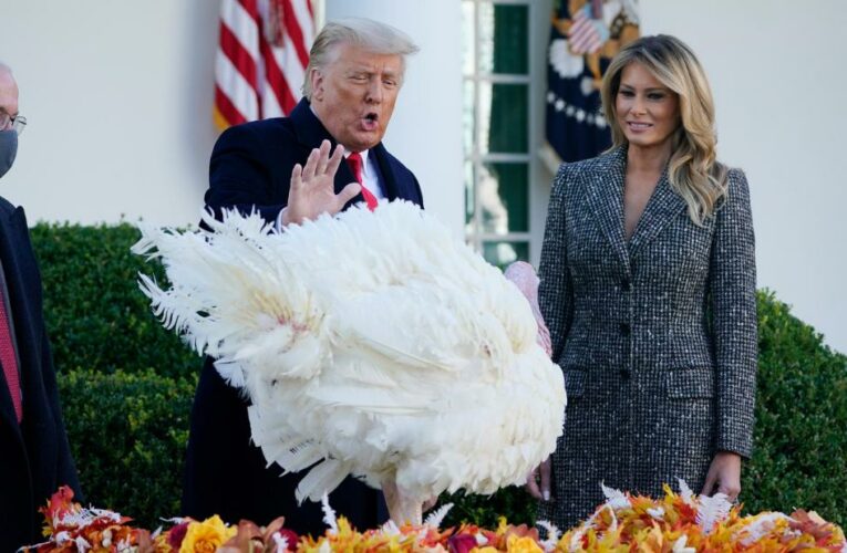 Trump’s holiday message contradicts experts’ warnings