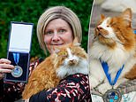 UK’s only blind therapy cat has been awarded the Blue Cross Medal