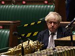 Tier system could be scrapped in NINE WEEKS: Boris Johnson promises Commons vote in the new year