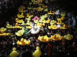 Thousands of Thai pro-democracy protesters march on royal barracks wielding rubber ducks