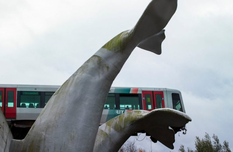 What a fluke: Dutch whale tail sculpture catches metro train