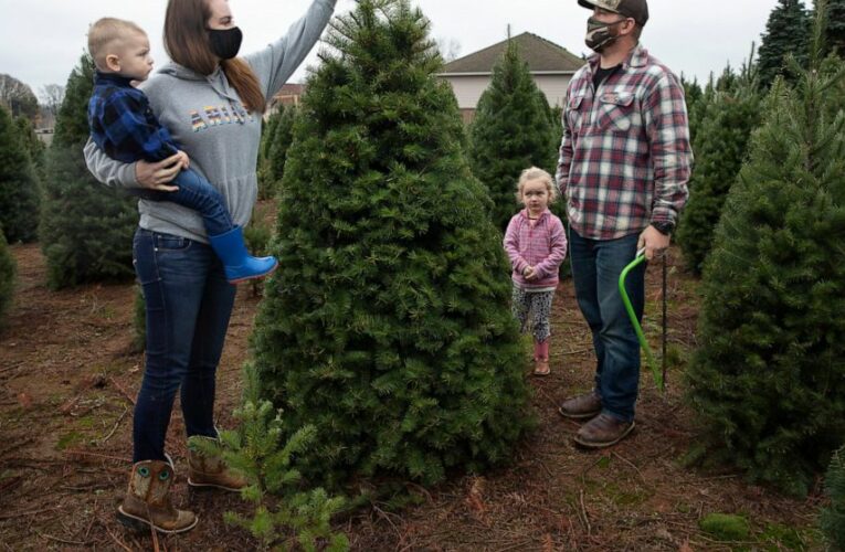 Many turn to real Christmas trees as bright spot amid virus