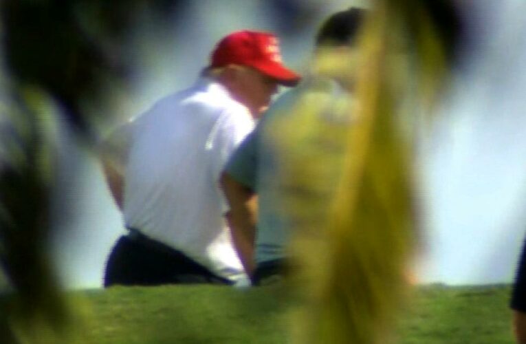 As Trump tweets and pardons loyalists, there is scant evidence that the pressing needs of the country will be addressed in anything resembling a timely fashion