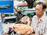 Thai fisherman finds ‘the world’s biggest’ blob of whale vomit – that could be worth £2.4MILLION