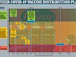 Coronavirus UK: Vaccinating 24m by Easter may STILL not end pandemic