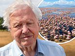 David Attenborough teases ‘extraordinary’ moment in new film