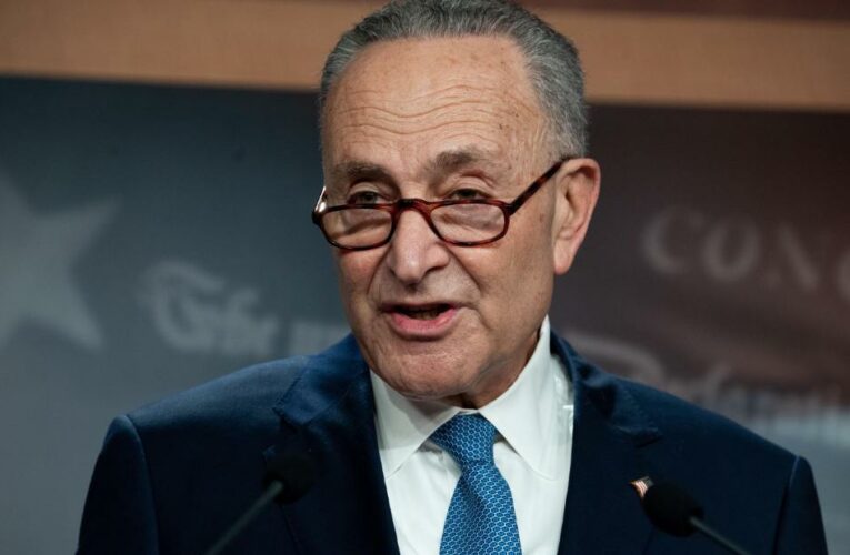 Schumer navigates landmines from the left and the right