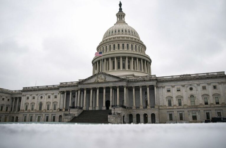Democrats to unveil $3,000 child benefit as part of relief package