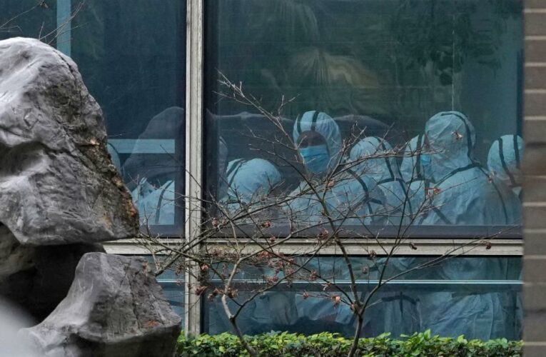 The discovery of over a dozen Covid strains in Wuhan already in December 2019 suggest the virus was circulating for more than just that month